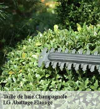 Taille de haie  champagnole-39300 LG Abattage Elagage 
