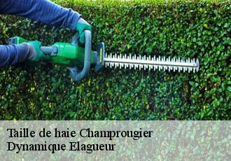 Taille de haie  champrougier-39230 Dynamique Elagueur