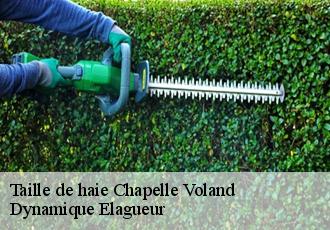 Taille de haie  chapelle-voland-39140 Dynamique Elagueur