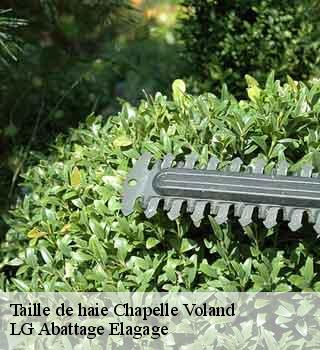 Taille de haie  chapelle-voland-39140 LG Abattage Elagage 