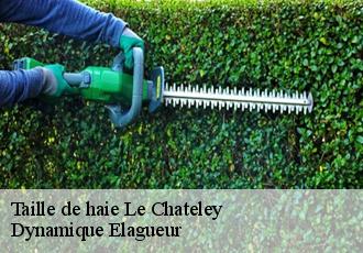 Taille de haie le-chateley-39230 Dynamique Elagueur