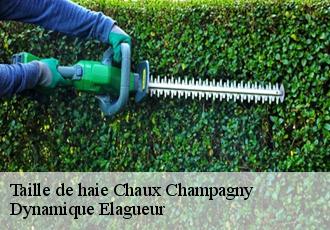 Taille de haie  chaux-champagny-39110 Dynamique Elagueur