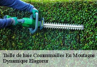 Taille de haie  communailles-en-montagne-39250 Dynamique Elagueur