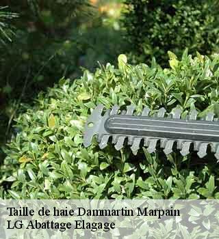 Taille de haie  dammartin-marpain-39290 LG Abattage Elagage 