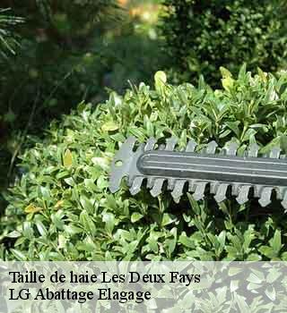 Taille de haie les-deux-fays-39230 LG Abattage Elagage