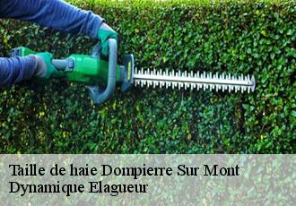 Taille de haie  dompierre-sur-mont-39270 Dynamique Elagueur