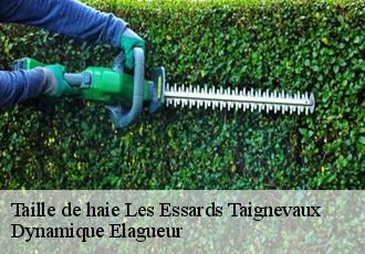 Taille de haie  les-essards-taignevaux-39120 Dynamique Elagueur