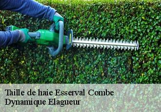 Taille de haie esserval-combe-39250 Dynamique Elagueur
