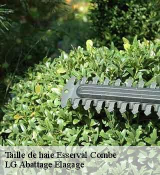 Taille de haie  esserval-combe-39250 LG Abattage Elagage 