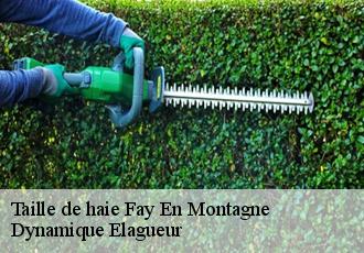 Taille de haie  fay-en-montagne-39800 Dynamique Elagueur