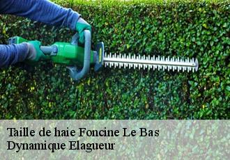 Taille de haie  foncine-le-bas-39520 Dynamique Elagueur