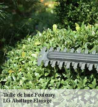 Taille de haie  foulenay-39230 LG Abattage Elagage 
