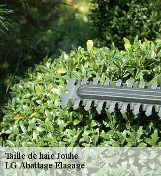 Taille de haie  jouhe-39100 LG Abattage Elagage 