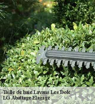 Taille de haie  lavans-les-dole-39700 LG Abattage Elagage 