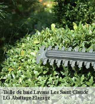 Taille de haie  lavans-les-saint-claude-39170 LG Abattage Elagage 