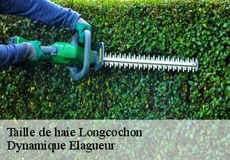 Taille de haie  longcochon-39250 Dynamique Elagueur
