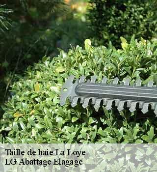 Taille de haie la-loye-39380 LG Abattage Elagage