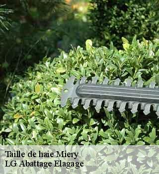 Taille de haie  miery-39800 LG Abattage Elagage 
