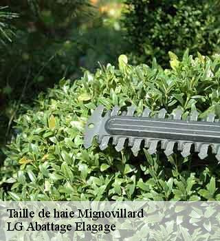 Taille de haie  mignovillard-39250 LG Abattage Elagage 