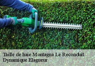 Taille de haie  montagna-le-reconduit-39160 Dynamique Elagueur