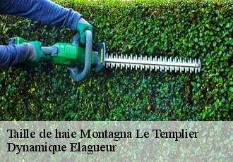 Taille de haie  montagna-le-templier-39320 Dynamique Elagueur