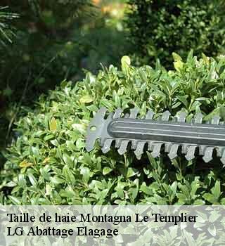 Taille de haie  montagna-le-templier-39320 LG Abattage Elagage 