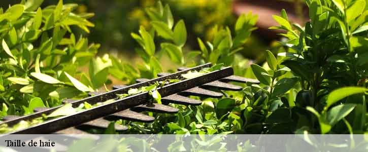 Taille de haie  39260