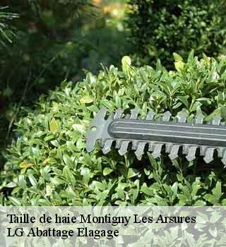 Taille de haie  montigny-les-arsures-39600 LG Abattage Elagage 