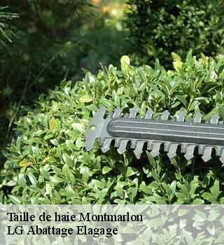 Taille de haie montmarlon-39110 LG Abattage Elagage