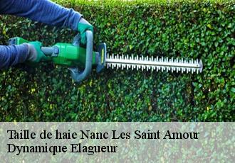 Taille de haie  nanc-les-saint-amour-39160 Dynamique Elagueur