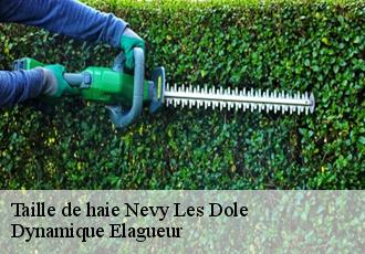 Taille de haie  nevy-les-dole-39380 Johann Elagage 39