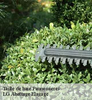 Taille de haie  pannessieres-39570 LG Abattage Elagage 