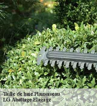 Taille de haie plainoiseau-39210 LG Abattage Elagage