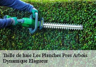 Taille de haie les-planches-pres-arbois-39600 Dynamique Elagueur