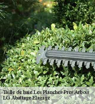 Taille de haie  les-planches-pres-arbois-39600 LG Abattage Elagage 
