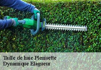 Taille de haie  plenisette-39250 Dynamique Elagueur