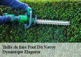 Taille de haie pont-du-navoy-39300 Dynamique Elagueur