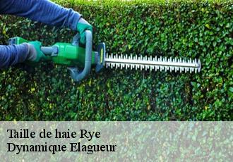Taille de haie  rye-39230 Dynamique Elagueur