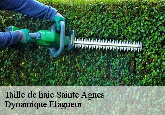 Taille de haie sainte-agnes-39190 Dynamique Elagueur
