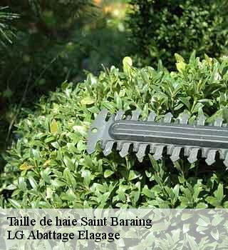Taille de haie saint-baraing-39120 LG Abattage Elagage