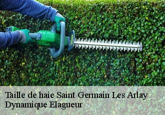 Taille de haie saint-germain-les-arlay-39210 Dynamique Elagueur