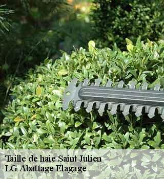 Taille de haie  saint-julien-39320 LG Abattage Elagage 