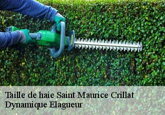 Taille de haie saint-maurice-crillat-39130 Dynamique Elagueur