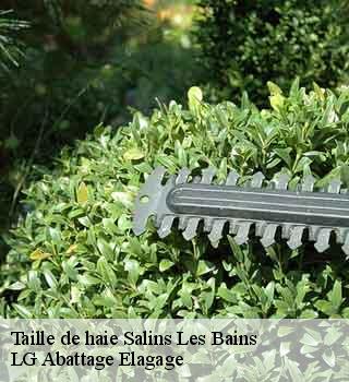 Taille de haie  salins-les-bains-39110 LG Abattage Elagage 