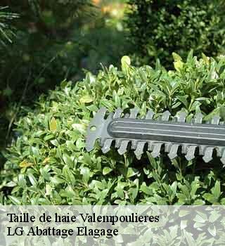 Taille de haie  valempoulieres-39300 LG Abattage Elagage 