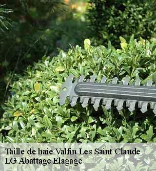 Taille de haie valfin-les-saint-claude-39200 LG Abattage Elagage