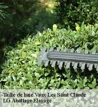 Taille de haie  vaux-les-saint-claude-39360 LG Abattage Elagage 