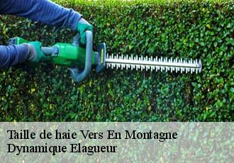 Taille de haie vers-en-montagne-39300 Dynamique Elagueur