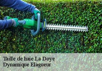 Taille de haie la-doye-39400 Dynamique Elagueur