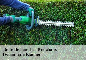 Taille de haie les-ronchaux-39130 Dynamique Elagueur